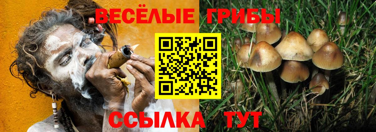 Топки  Галлюциногенные грибы ЛСД  Вход с VPN 