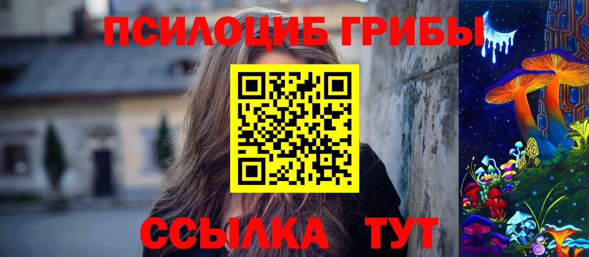 Галлюциногенные грибы Cubensis Топки